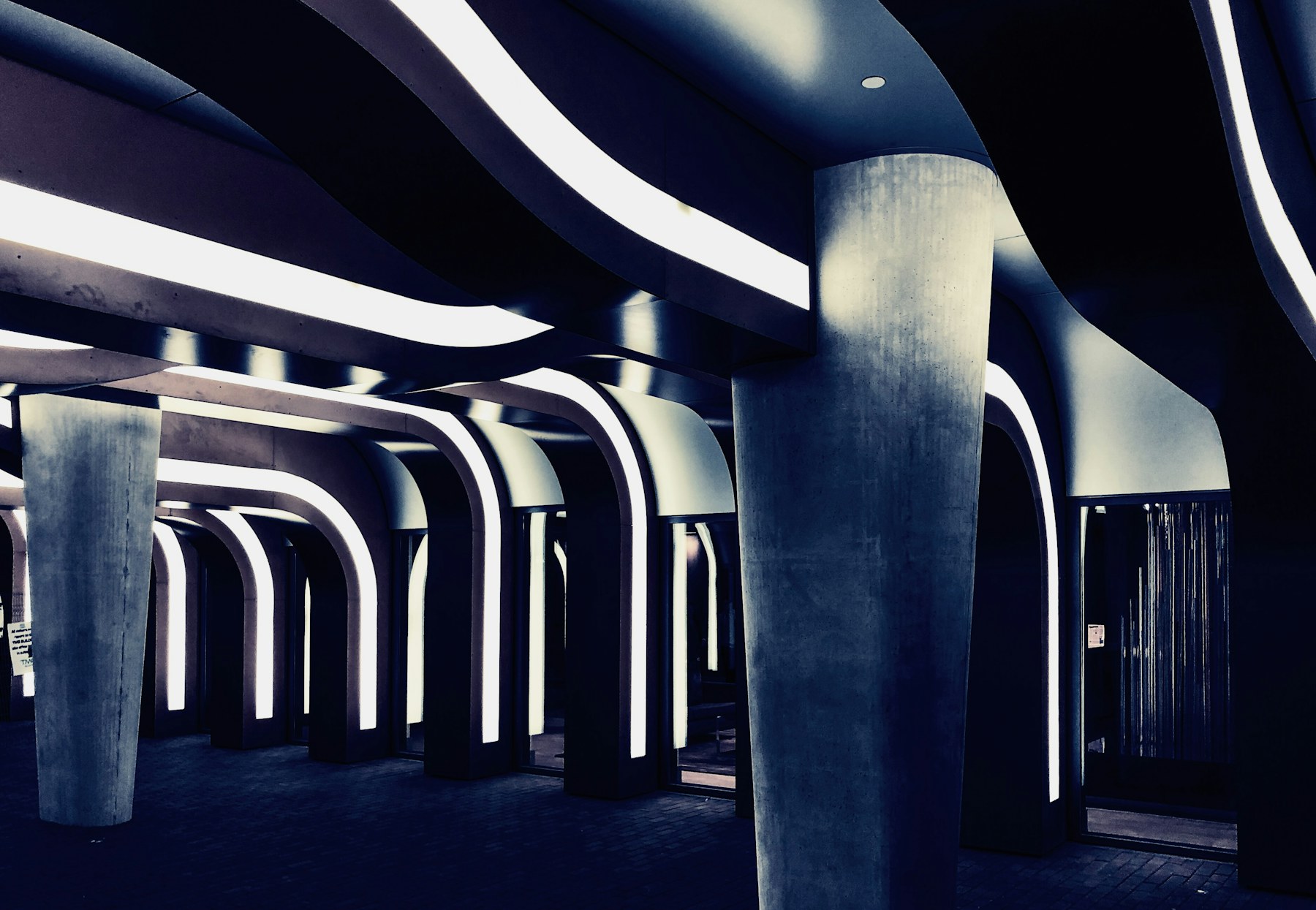 Curving illuminated pillars forming a futuristic passage at night