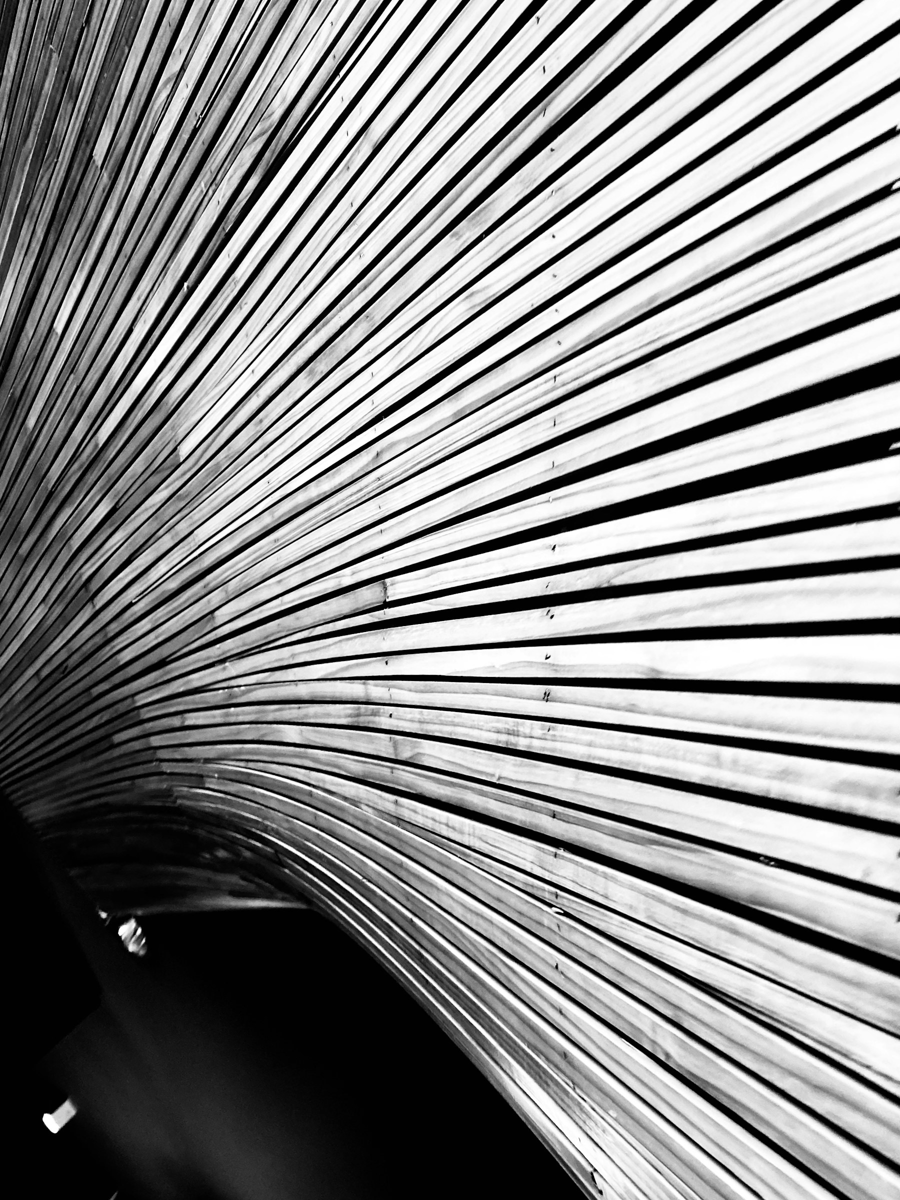 Close architectural study of tightly repeating black and white lines